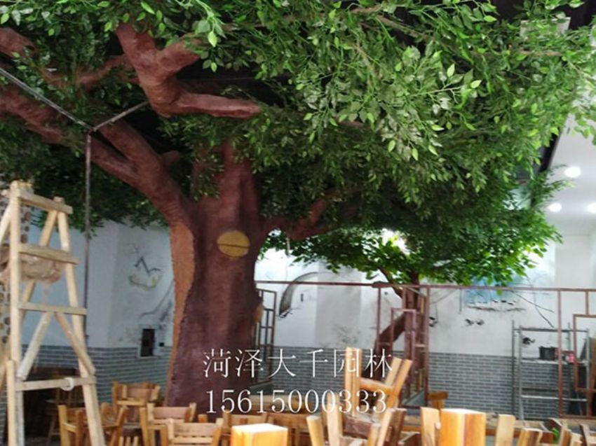 點(diǎn)擊查看詳細(xì)信息<br>標(biāo)題：假樹 閱讀次數(shù)：1475