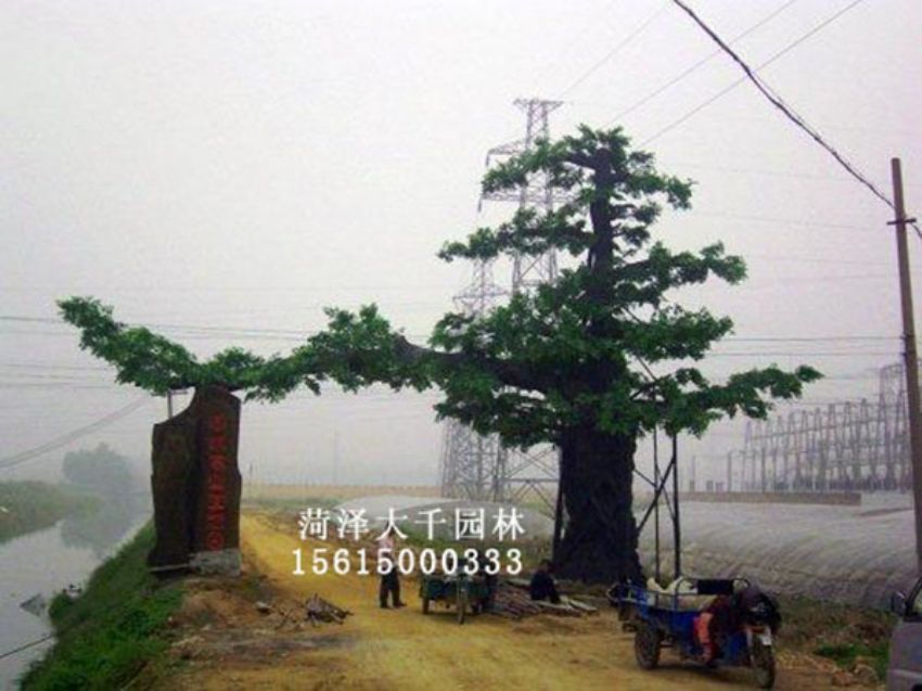 點(diǎn)擊查看詳細(xì)信息<br>標(biāo)題：假樹 閱讀次數(shù)：1334