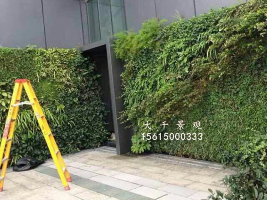 點擊查看詳細信息<br>標題：綠植墻 閱讀次數(shù)：1513