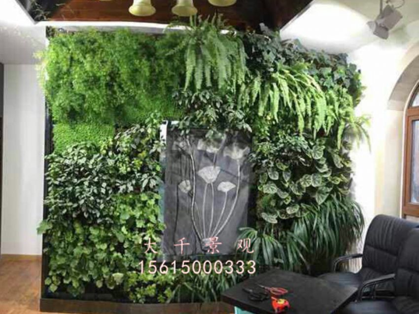點(diǎn)擊查看詳細(xì)信息<br>標(biāo)題：綠植墻 閱讀次數(shù)：1732