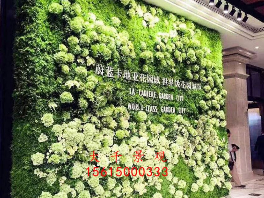 點(diǎn)擊查看詳細(xì)信息<br>標(biāo)題：綠植墻 閱讀次數(shù)：2036