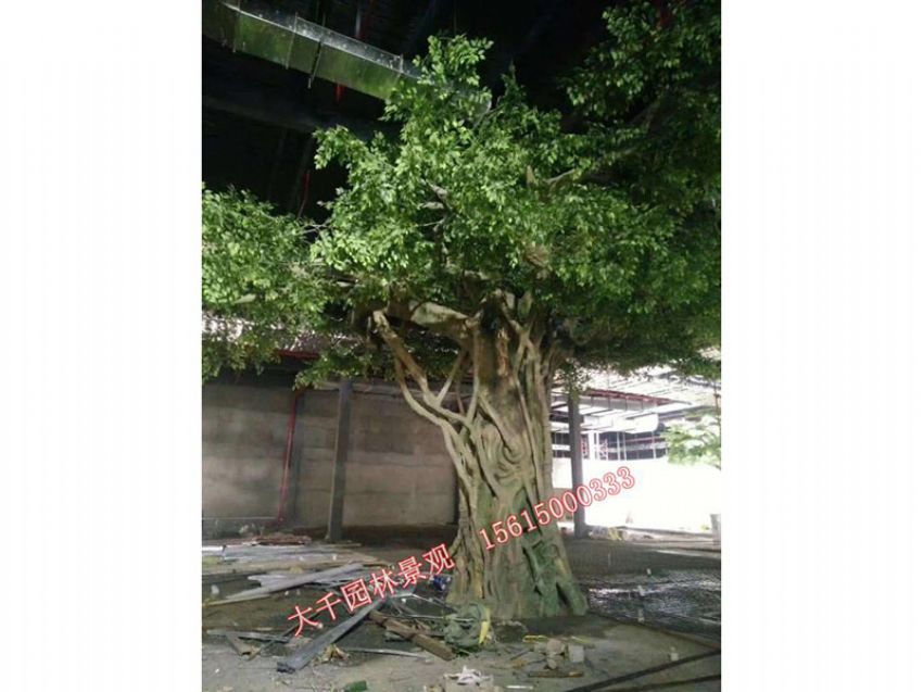 點(diǎn)擊查看詳細(xì)信息<br>標(biāo)題：假樹(shù) 閱讀次數(shù)：2426