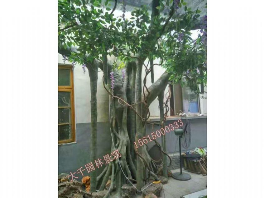 點(diǎn)擊查看詳細(xì)信息<br>標(biāo)題：假樹(shù) 閱讀次數(shù)：2478